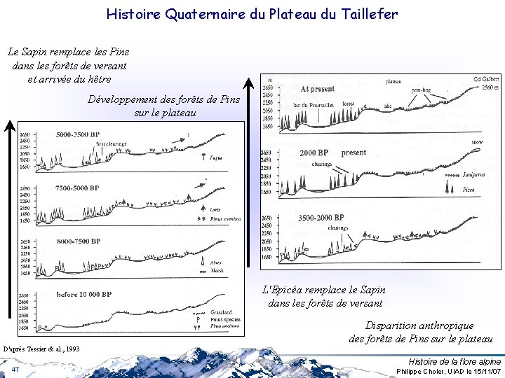 Histoire Quaternaire du Plateau du Taillefer Le Sapin remplace les Pins dans les forêts Histoire Quaternaire du Plateau du Taillefer Le Sapin remplace les Pins dans les forêts