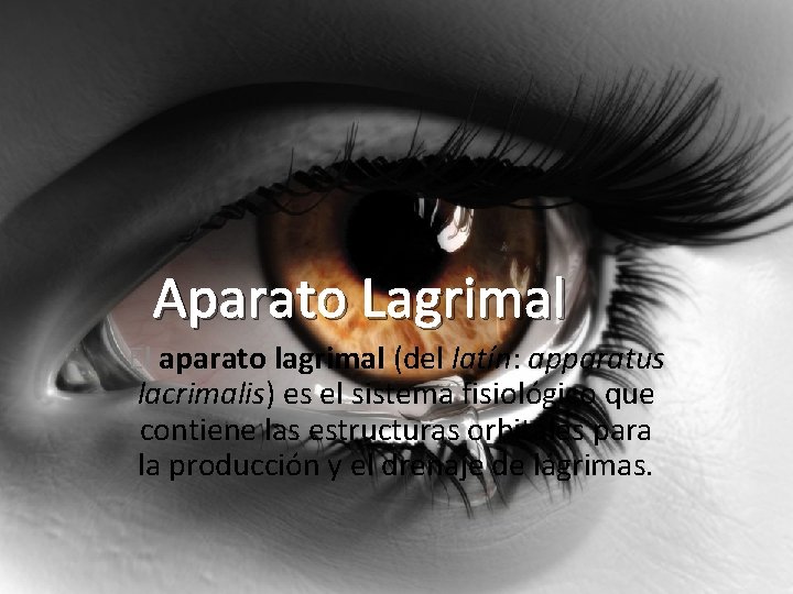 Aparato Lagrimal El aparato lagrimal (del latín: apparatus lacrimalis) es el sistema fisiológico que