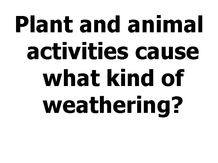 Plant and animal activities cause what kind of weathering? 