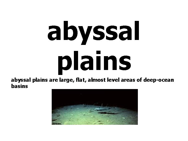 abyssal plains are large, flat, almost level areas of deep-ocean basins 