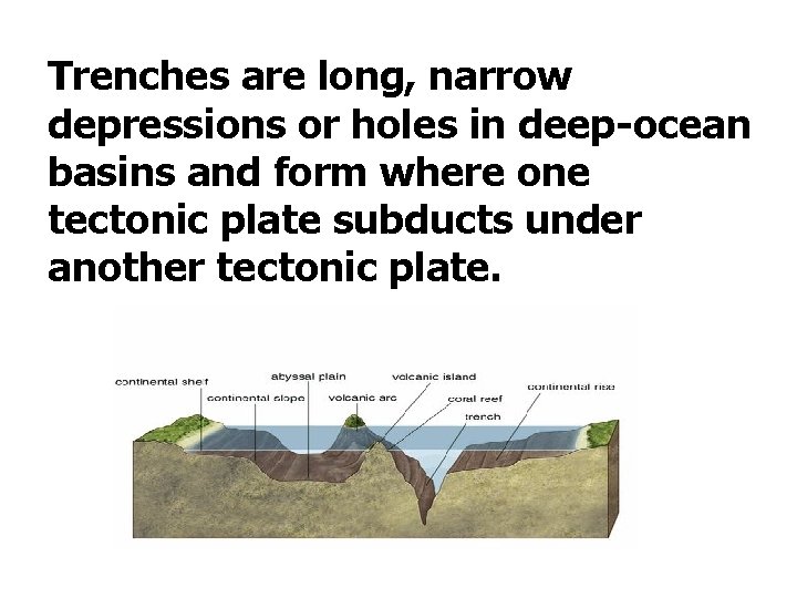 Trenches are long, narrow depressions or holes in deep-ocean basins and form where one