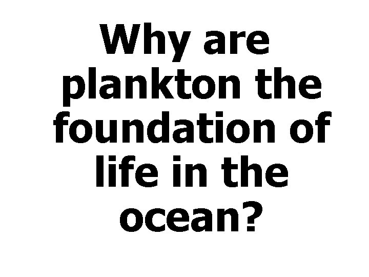 Why are plankton the foundation of life in the ocean? 