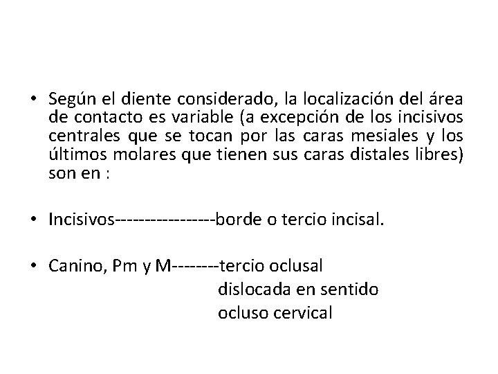  • Según el diente considerado, la localización del área de contacto es variable