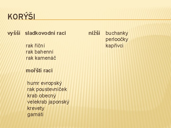 KORÝŠI vyšší sladkovodní raci rak říční rak bahenní rak kamenáč mořští raci humr evropský