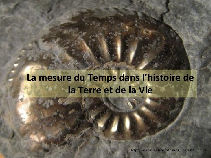 La mesure du Temps dans l’histoire de la Terre et de la Vie http: