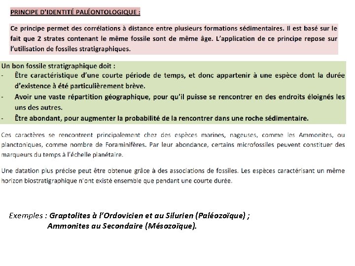 Exemples : Graptolites à l’Ordovicien et au Silurien (Paléozoïque) ; Ammonites au Secondaire (Mésozoïque).