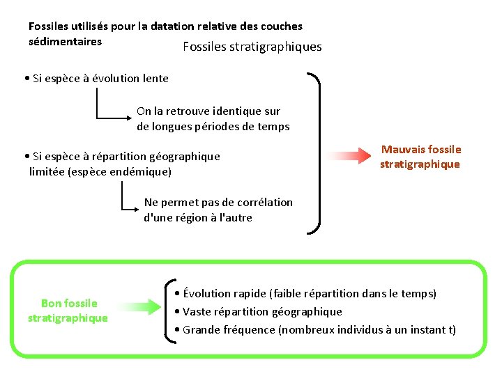 Fossiles utilisés pour la datation relative des couches sédimentaires Fossiles stratigraphiques • Si espèce