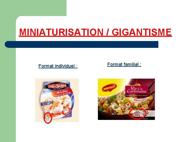 MINIATURISATION / GIGANTISME Format individuel : Format familial : 
