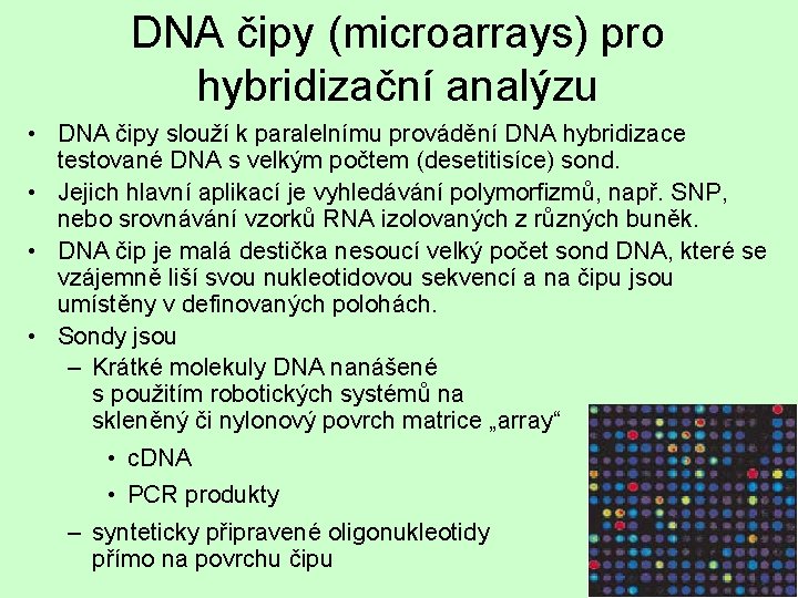 DNA čipy (microarrays) pro hybridizační analýzu • DNA čipy slouží k paralelnímu provádění DNA