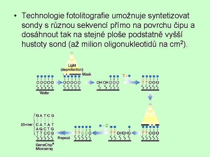  • Technologie fotolitografie umožnuje syntetizovat sondy s různou sekvencí přímo na povrchu čipu