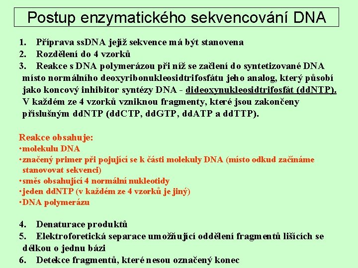 Postup enzymatického sekvencování DNA 1. Příprava ss. DNA jejíž sekvence má být stanovena 2.