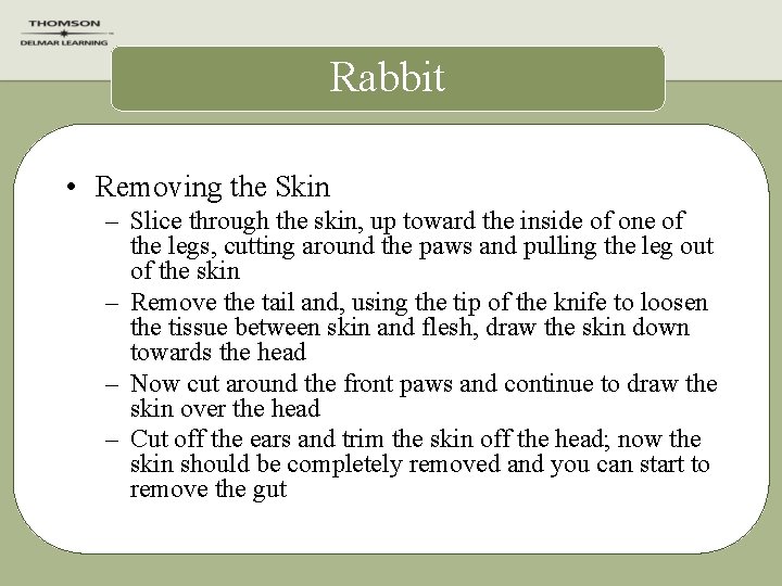 Rabbit • Removing the Skin – Slice through the skin, up toward the inside