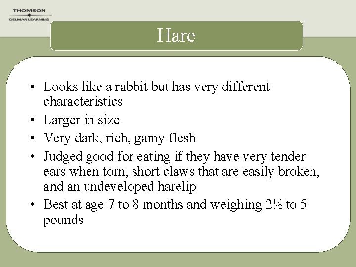 Hare • Looks like a rabbit but has very different characteristics • Larger in