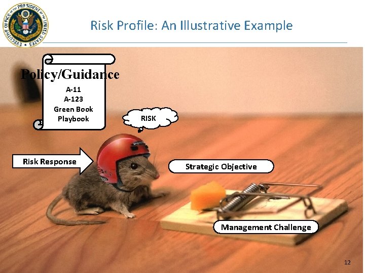 Risk Profile: An Illustrative Example Policy/Guidance A-11 A-123 Green Book Playbook Risk Response RISK
