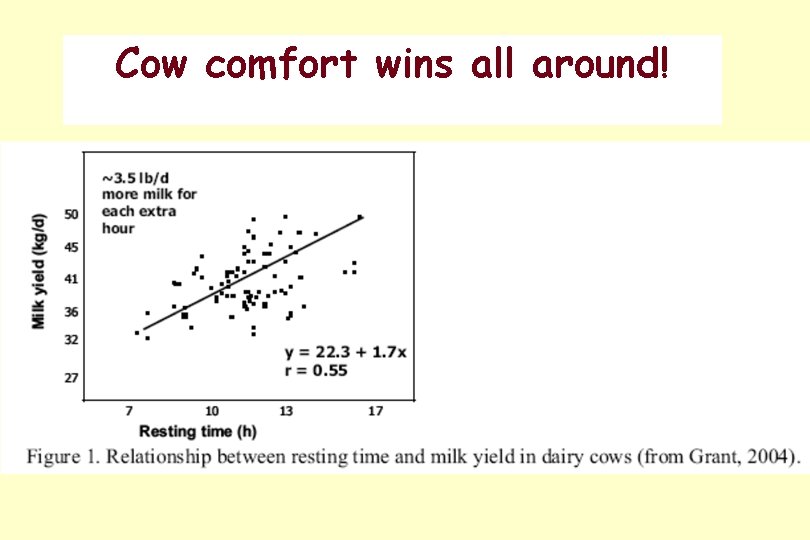 Cow comfort wins all around! Cow comfort wins all around!