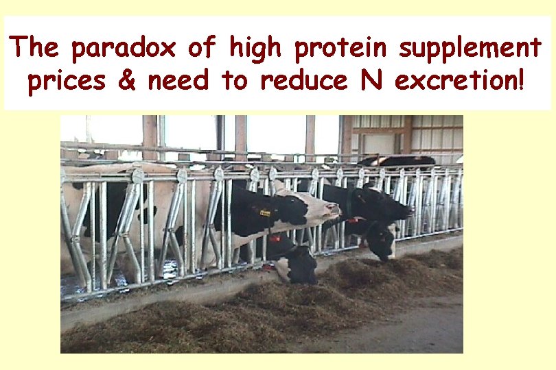 The paradox of high protein supplement prices & need to reduce N excretion! 