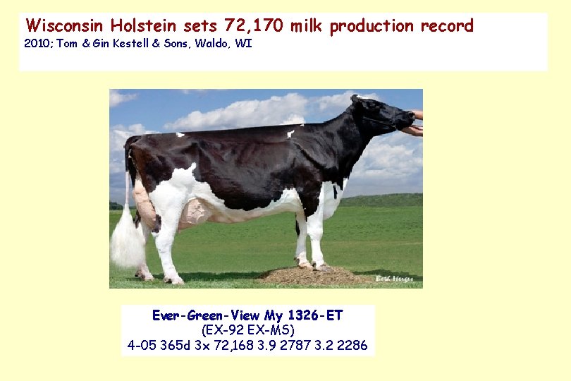 Wisconsin Holstein sets 72, 170 milk production record 2010; Tom & Gin Kestell &