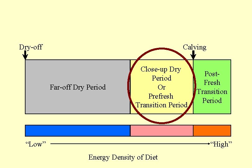 Dry-off Calving Far-off Dry Period Close-up Dry Period Or Prefresh Transition Period “Low” Post. Dry-off Calving Far-off Dry Period Close-up Dry Period Or Prefresh Transition Period “Low” Post.