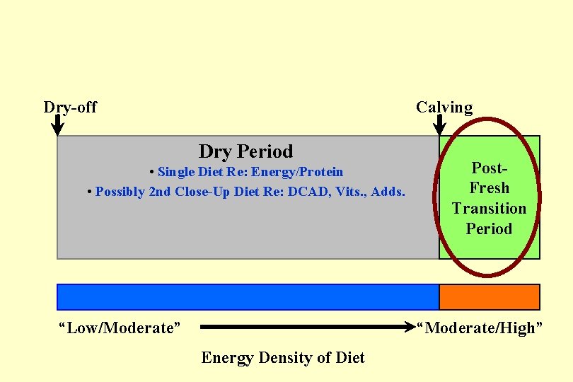 Dry-off Calving Dry Period • Single Diet Re: Energy/Protein • Possibly 2 nd Close-Up