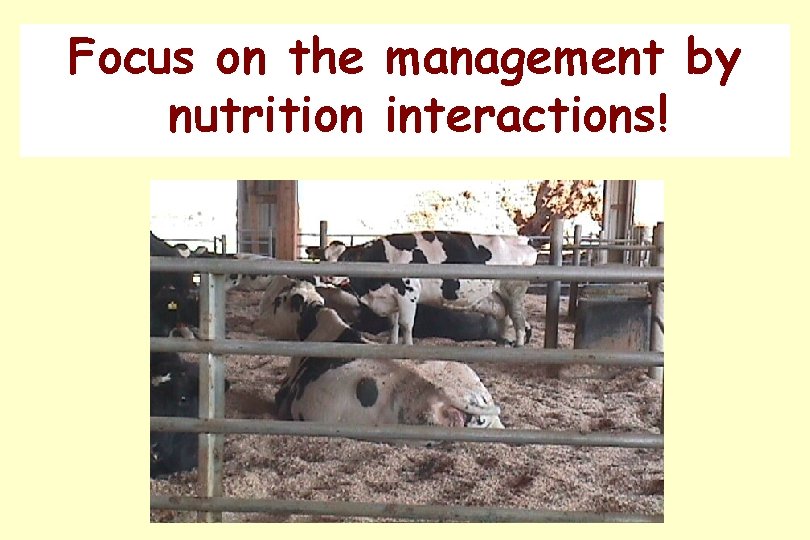 Focus on the management by nutrition interactions! 