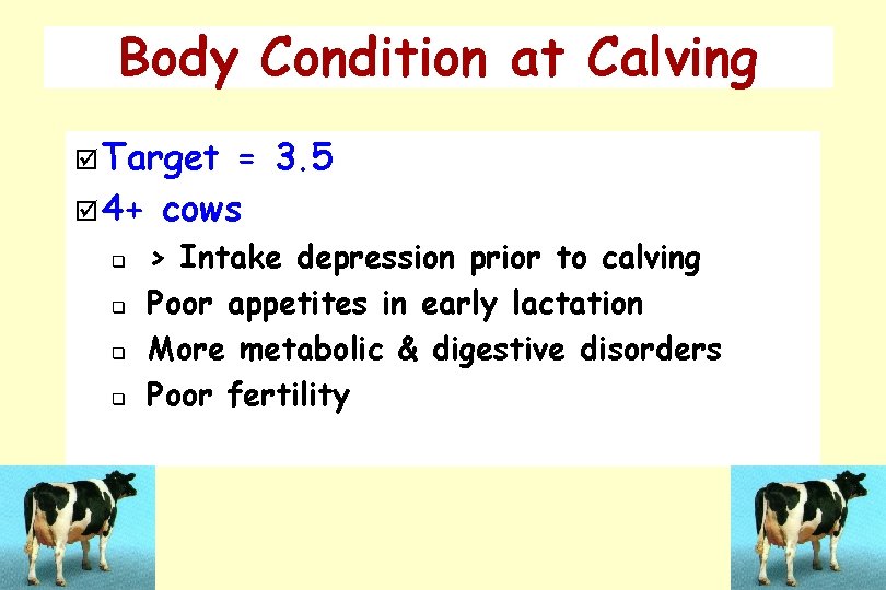 Body Condition at Calving þ Target = 3. 5 þ 4+ cows q q Body Condition at Calving þ Target = 3. 5 þ 4+ cows q q