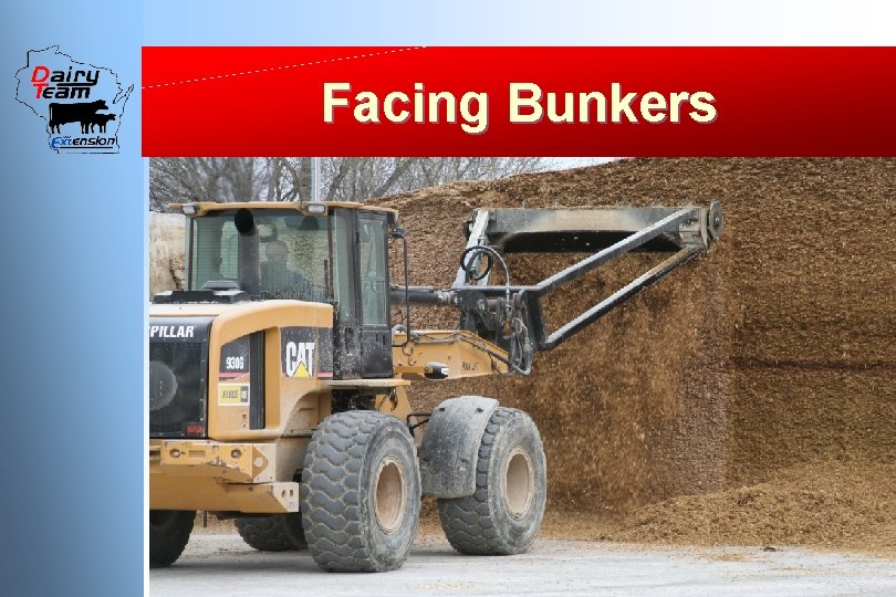 Facing Bunkers 