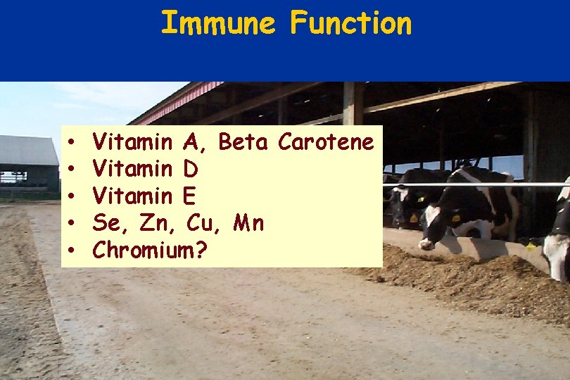 Immune Function • • • Vitamin A, Beta Carotene Vitamin D Vitamin E Se,