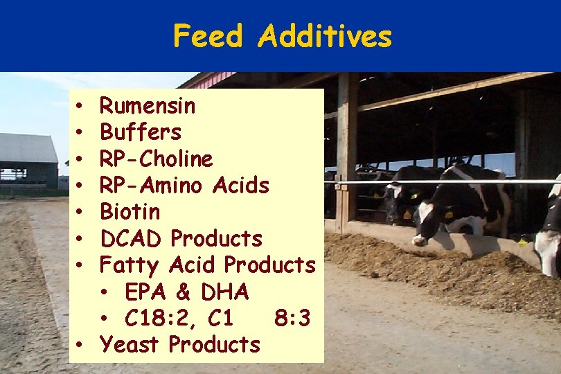 Feed Additives Rumensin Buffers RP-Choline RP-Amino Acids Biotin DCAD Products Fatty Acid Products •