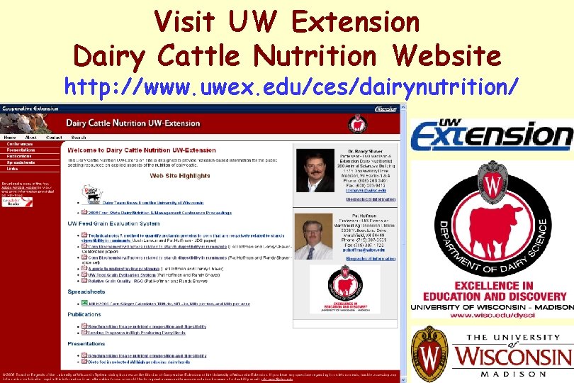 Visit UW Extension Dairy Cattle Nutrition Website http: //www. uwex. edu/ces/dairynutrition/ 