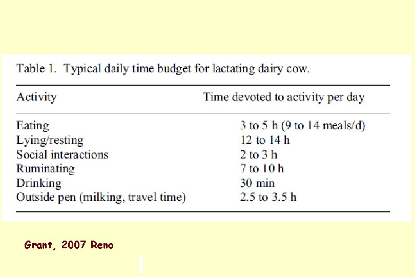 Grant, 2007 Reno Grant, 2007 Reno