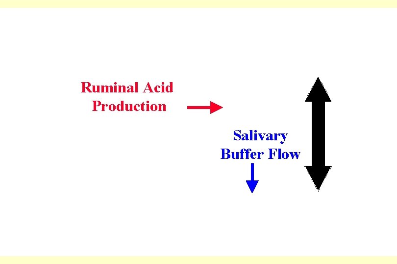 Ruminal Acid Production Salivary Buffer Flow 
