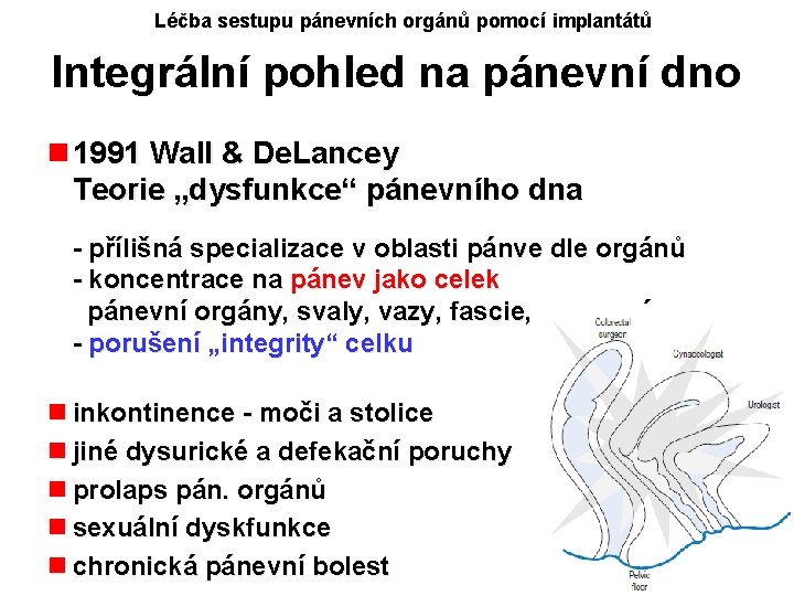 Léčba sestupu pánevních orgánů pomocí implantátů Integrální pohled na pánevní dno n 1991 Wall