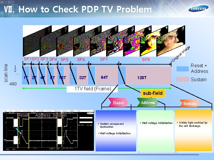 Ⅶ. How to Check PDP TV Problem e scan line SF 1 SF 2