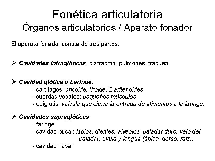 Fonética articulatoria Órganos articulatorios / Aparato fonador El aparato fonador consta de tres partes: