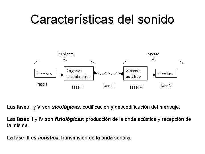 Características del sonido fase III fase IV fase V Las fases I y V