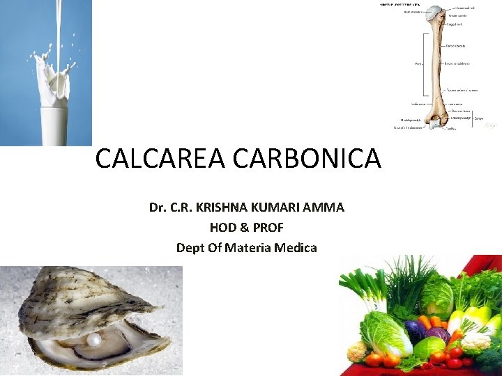 CALCAREA CARBONICA Dr. C. R. KRISHNA KUMARI AMMA HOD & PROF Dept Of Materia