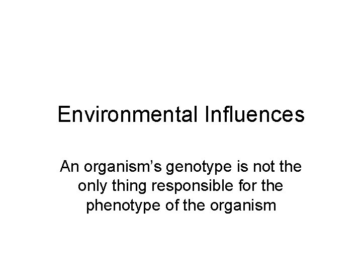 Environmental Influences An organism’s genotype is not the only thing responsible for the phenotype