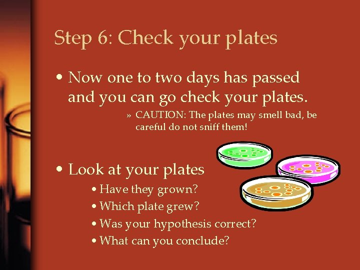 Step 6: Check your plates • Now one to two days has passed and