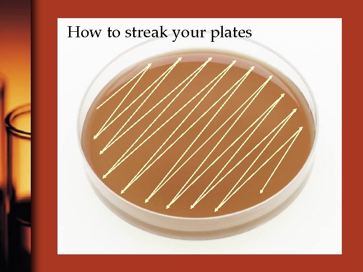 How to streak your plates 