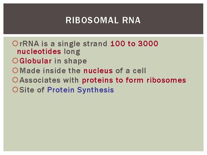 RIBOSOMAL RNA r. RNA is a single strand 100 to 3000 nucleotides long Globular