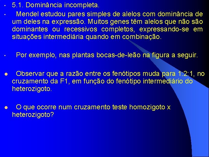  • • 5. 1. Dominância incompleta. Mendel estudou pares simples de alelos com