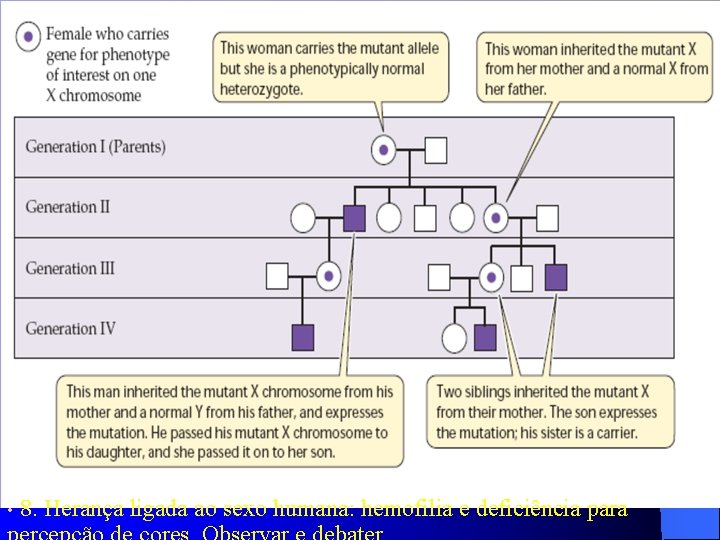  • 8. Herança ligada ao sexo humana: hemofilia e deficiência para 