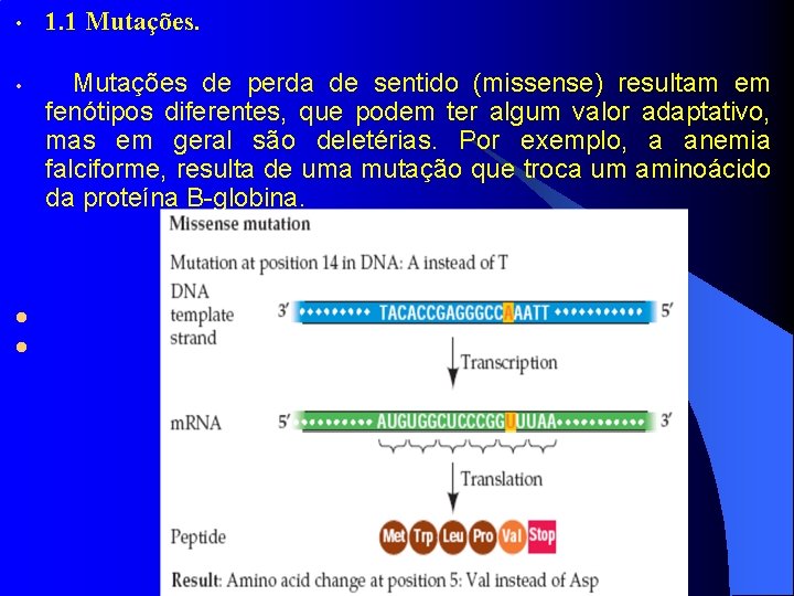  • 1. 1 Mutações. • l Mutações de perda de sentido (missense) resultam