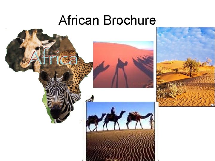 African Brochure 