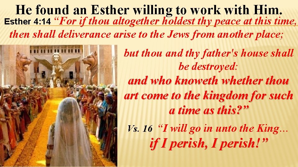 He found an Esther willing to work with Him. Esther 4: 14 “For if He found an Esther willing to work with Him. Esther 4: 14 “For if