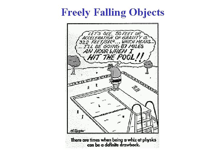Freely Falling Objects 