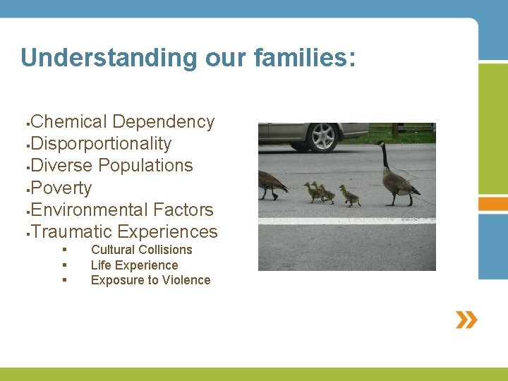 Understanding our families: Chemical Dependency §Disporportionality §Diverse Populations §Poverty §Environmental Factors §Traumatic Experiences §