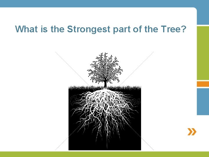 What is the Strongest part of the Tree? 