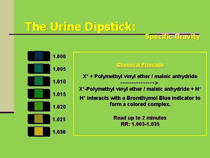 The Urine Dipstick: Specific Gravity 1. 000 1. 005 1. 010 1. 015 1.