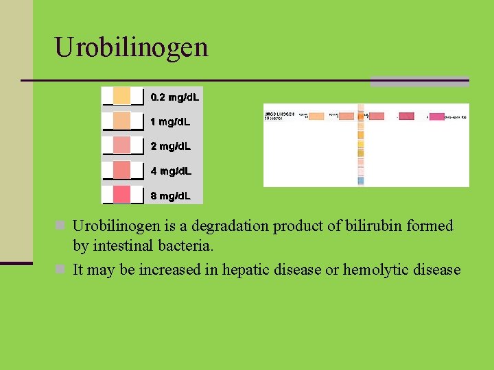 Urobilinogen n Urobilinogen is a degradation product of bilirubin formed by intestinal bacteria. n